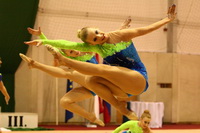 © ВФЭГ (RFAG)