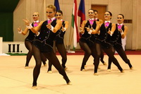 © ВФЭГ (RFAG)