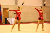© ВФЭГ (RFAG)