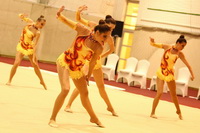 © ВФЭГ (RFAG)