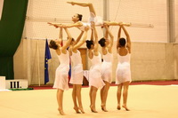 © ВФЭГ (RFAG)