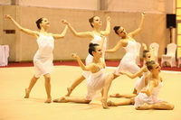 © ВФЭГ (RFAG)