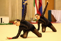 © ВФЭГ (RFAG)
