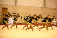 © ВФЭГ (RFAG)