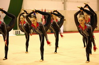 © ВФЭГ (RFAG)