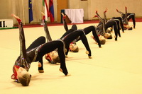 © ВФЭГ (RFAG)