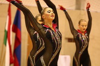 © ВФЭГ (RFAG)