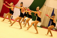 © ВФЭГ (RFAG)