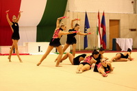 © ВФЭГ (RFAG)