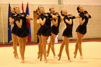 © ВФЭГ (RFAG)