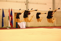 © ВФЭГ (RFAG)