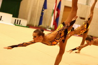 © ВФЭГ (RFAG)