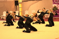 © ВФЭГ (RFAG)