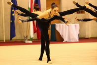 © ВФЭГ (RFAG)