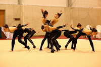 © ВФЭГ (RFAG)
