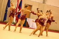 © ВФЭГ (RFAG)