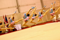 © ВФЭГ (RFAG)
