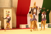 © ВФЭГ (RFAG)