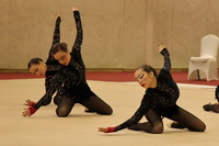 © ВФЭГ (RFAG)