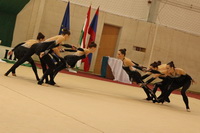 © ВФЭГ (RFAG)