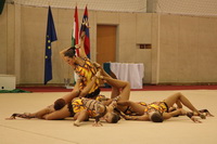 © ВФЭГ (RFAG)