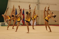 © ВФЭГ (RFAG)