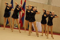 © ВФЭГ (RFAG)