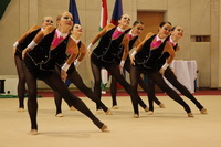 © ВФЭГ (RFAG)