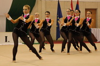 © ВФЭГ (RFAG)