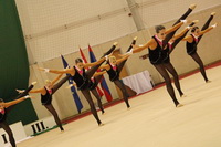 © ВФЭГ (RFAG)