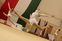 © ВФЭГ (RFAG)