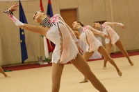 © ВФЭГ (RFAG)