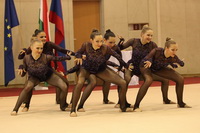 © ВФЭГ (RFAG)