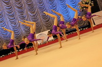 © ВФЭГ (RFAG)