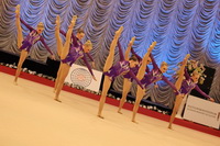 © ВФЭГ (RFAG)