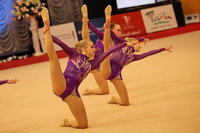 © ВФЭГ (RFAG)