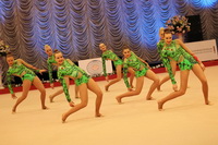 © ВФЭГ (RFAG)