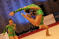 © ВФЭГ (RFAG)