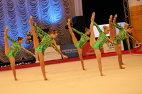 © ВФЭГ (RFAG)