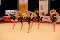 © ВФЭГ (RFAG)