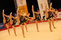 © ВФЭГ (RFAG)