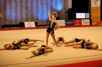 © ВФЭГ (RFAG)