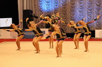 © ВФЭГ (RFAG)