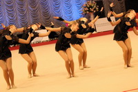 © ВФЭГ (RFAG)