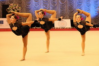 © ВФЭГ (RFAG)