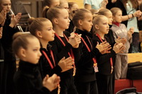 © ВФЭГ (RFAG)