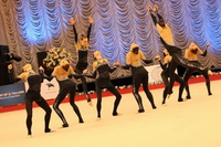 © ВФЭГ (RFAG)