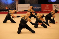 © ВФЭГ (RFAG)