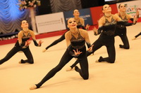 © ВФЭГ (RFAG)