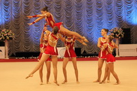 © ВФЭГ (RFAG)